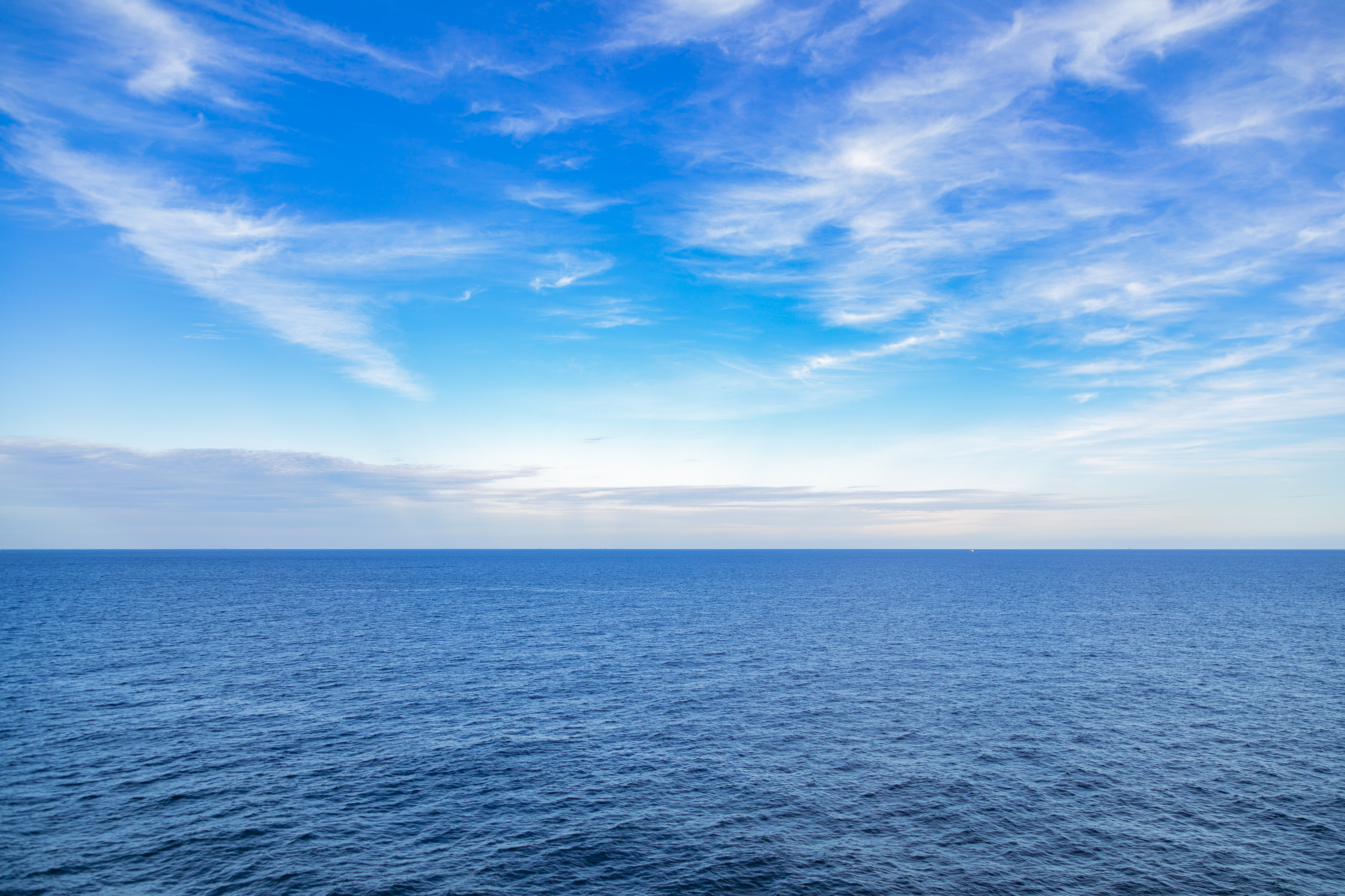 重大預(yù)警 | 港口作業(yè)或中斷！